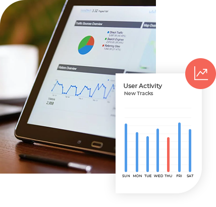 Analytics & Report Generation